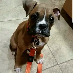 Meet your Posher, Kaitlyn